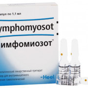 small-limfomiozot-r-r-dlya-v/m-vv-gomeopat-1,1ml-n5-amp-pk-0